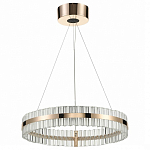 Подвесной светильник Vele Luce Faccia VL1694P01 250_100_Array