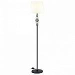 Торшер Odeon Light Sochi 4896/1F 250_100_1726512