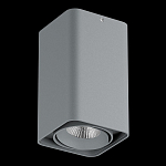 Накладной светильник Lightstar Monocco 052139 250_100_Array
