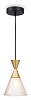 Подвесной светильник Ambrella Light TR TR3173 100_100_2023402