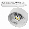 Светильник на штанге Lightstar Alta Pro A5736DALI 100_100_3238929