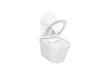 SET AQUATEK ВЕГА-1905-036 (рама AQUATEK Standard INS-0000012 с клавишей KDI-0000036 и крепежом KKI-0000002+унитаз ВЕГА AQ1905-00 с тонким сиденьем sc) 250_100_2416639