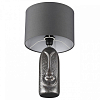 Настольная лампа декоративная Lumion Akivi 8146/1Т 100_100_1866231