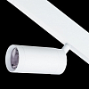 Светильник на штанге Lightstar Teta 205026 100_100_1719270