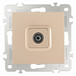 ТВ-розетка без рамки Arte Milano am-206 206.43-1.shampan 250_100_Array