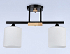 Светильник на штанге Ambrella Light TR TR9543 100_100_2181124