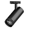 Светильник на штанге Lightstar Canno Pro C4207SS 100_100_3088085