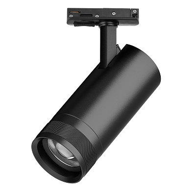 Светильник на штанге Lightstar Canno Pro C4207SS 400_400_3088085