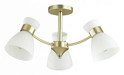 Люстра на штанге Lumion Wilma 4535/3C 250_100_Array