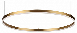 Подвесной светильник Lumion Echo 6531/67L 250_100_Array