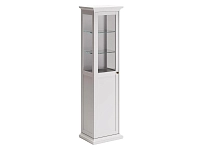 Шкаф-витрина однодверный 331156 250_100_2499937