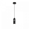Подвесной светильник Lumion ECO 8364/1A 100_100_2833557