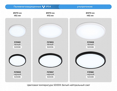 Накладной светильник Ambrella Light FZ FZ1955 400_400_2027933