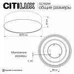 Накладной светильник Citilux BART CL755291 250_100_3148961