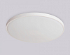Накладной светильник Ambrella Light FZ FZ1202 100_100_2015407