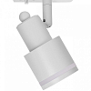Светильник на штанге Citilux Bruno CL565T10 100_100_3147896