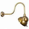 Бра Covali  WL-30985 100_100_2293859