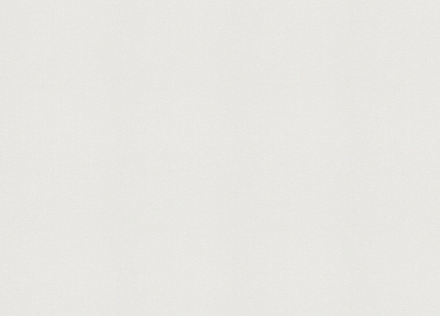 899023 Обои Rasch (1*12) 10,05x0,53 винил на флизелине 400_400_2687882