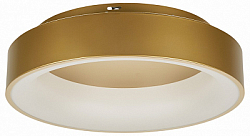 Накладной светильник MyFar Shannon MR2195-1PL 250_100_Array
