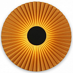 Накладной светильник Ambrella Light LH LH72647 250_100_Array