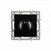 Диммер без рамки Arlight SWT 045794 100_100_2173786