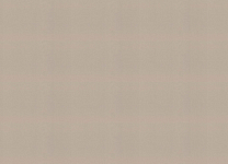 983524 Обои Rasch (1*6) 10,05x1,06 винил на флизелине 250_100_2148805