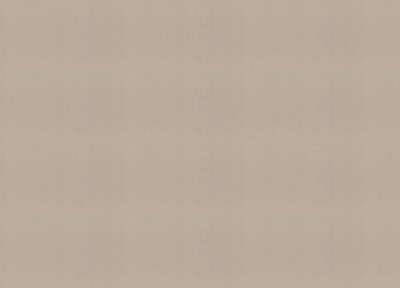 983524 Обои Rasch (1*6) 10,05x1,06 винил на флизелине 400_400_2148805