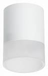 Накладной светильник Lightstar Rullo R348681 250_100_Array