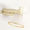 Спот Citilux Прованс CL511524 100_100_1687794