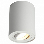 Спот Omnilux Pantaleo OML-101009-01 250_100_1781662