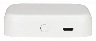 Конвертер Wi-Fi для смартфонов и планшетов Arlight TUYA 26175 400_400_2134297