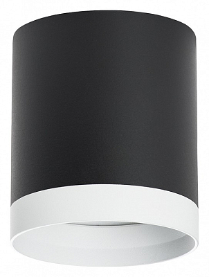 Накладной светильник Lightstar Rullo R34873486 400_400_2448335