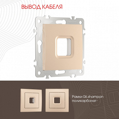 Розетка для вывод кабеля без рамки Arte Milano am-206 206.49-1.shampan 400_400_2167543