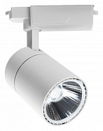 Светильник на штанге Escada 20032 20032TRA/02LED SWH 500_191_2470213