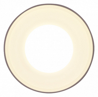 Накладной светильник Ambrella Light TN TN3202 400_400_2013647