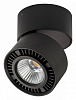 Накладной светильник Lightstar Forte Muro 214817 100_100_2448137