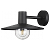 Светильник на штанге Odeon Light Furcadia 4833/1W 100_100_2471682