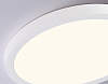 Накладной светильник Ambrella Light FZ FZ1903 100_100_2027862