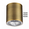 Накладной светильник Odeon Light HIGHTECH 7137/12CL 100_100_1391898