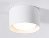 Накладной светильник Ambrella Light TN TN70812 100_100_2019291