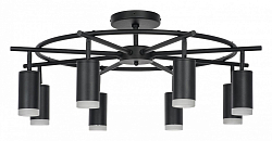 Люстра на штанге Lightstar Rullo LR7183780 250_100_Array