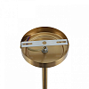 Люстра на штанге Lumion VERMONT 8275/7 100_100_2172873
