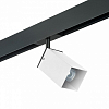 Светильник на штанге Lightstar Rullo PRO216586 100_100_2471053