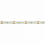 Лента светодиодная Arlight A168 24V 10mm 17 W/m 019092(2) 250_100_1901980