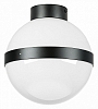 Накладной светильник Lightstar Globo 812117 100_100_3155811