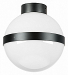 Накладной светильник Lightstar Globo 812117 250_100_Array