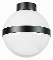 Накладной светильник Lightstar Globo 812117 500_191_3155811