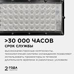 Настенно-потолочный прожектор Apeyron Electrics  05-45 250_100_2388919