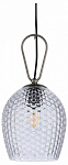 Подвесной светильник Indigo Armonia 11001/1P Nickel 250_100_Array