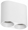 Накладной светильник Lightstar Rullo 213466 100_100_3155471